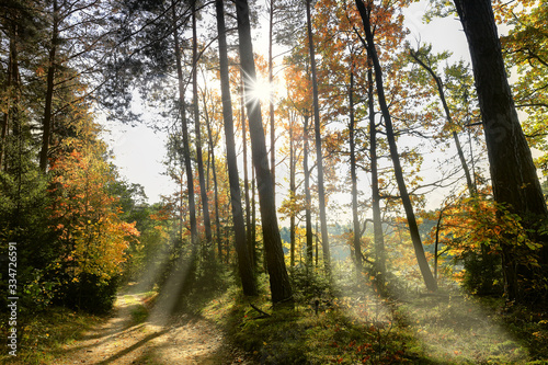 jesień w lasach Warmii w północno-wschodniej Polsce © Janusz Lipiński