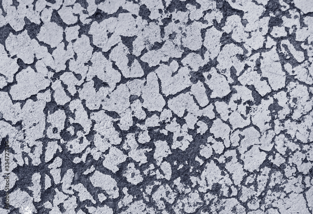 Grey Grunge texture or background Grey Grunge texture or background