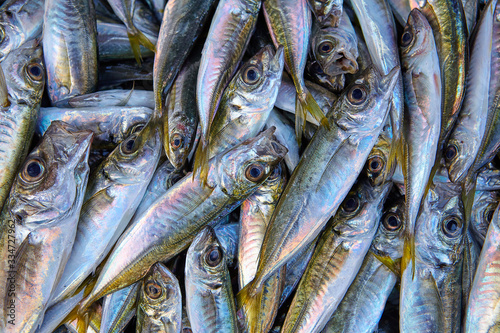 Texture of fresh horse mackerel on the counter.