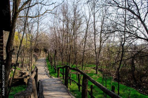 bridge of wood and beams in the forest around trees and flowers blue sky © Людмила Братко