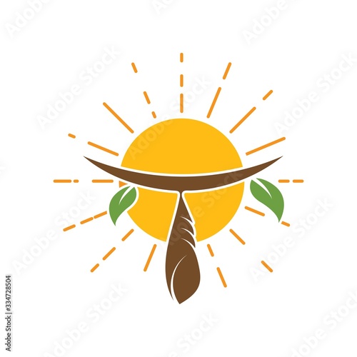 cocoon with sun in background vector illustrtion design
