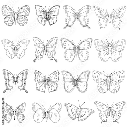 Sticker vector isolated butterfly sketch set