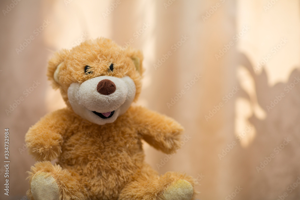 cute teddy bear sitting resting cute teddy bear sitting resting