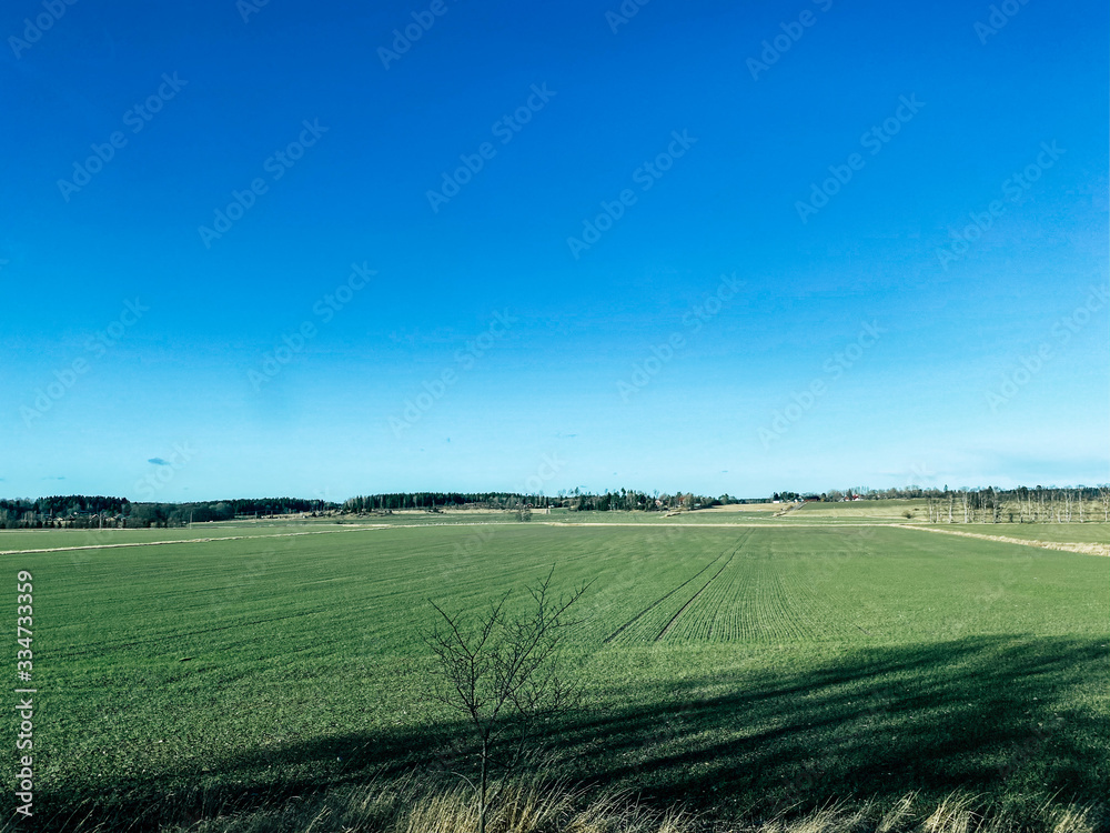 Green field with clear sky in Sweden