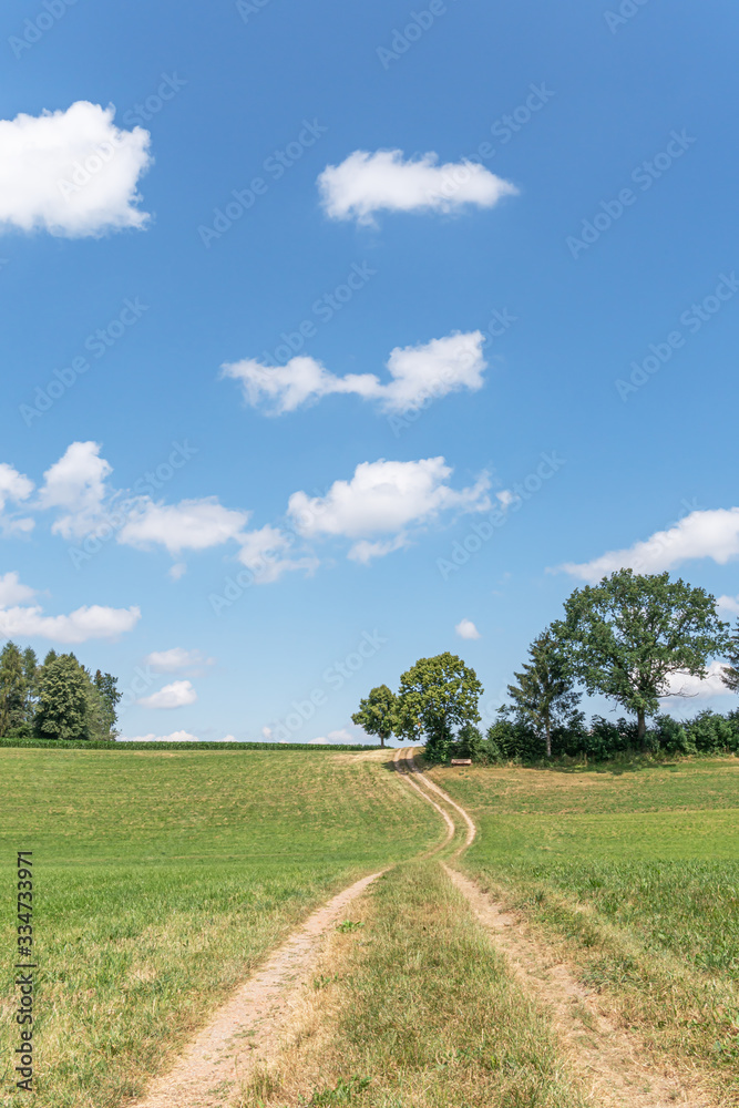 Wanderweg entlang von Bäumen und Feldern im Sommer Wanderweg entlang von Bäumen und Feldern im Sommer