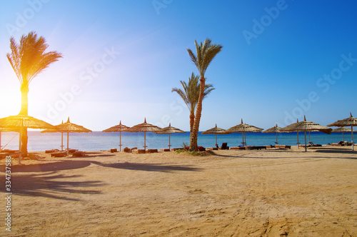 Tropical beach with deckchairs, umbrellas