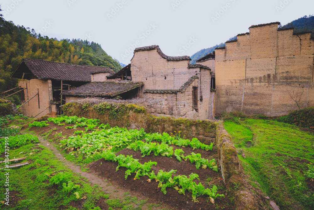 countryside landscape of China's traditional village