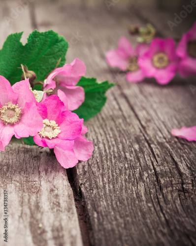 Pink Flowers on rustic old wooden table. Vintage Floral background.