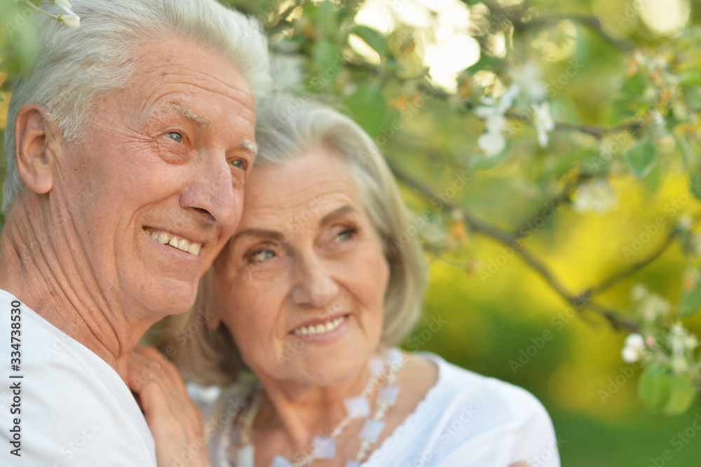 Portrait of beautiful senior couple posing in the park Portrait of beautiful senior couple posing in the park