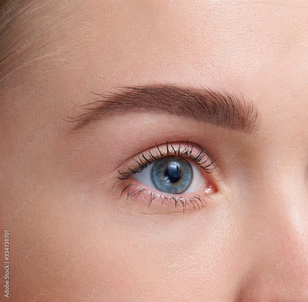 Eyebrows Care. Closeup Of Woman Beautiful Blue Eye, Perfect Shaped Brow, Long Eyelashes With Professional Makeup And Brow Gel Brush. Young Female Model Shaping Brown Eyebrows. High Resolution Image Eyebrows Care. Closeup Of Woman Beautiful Blue Eye, Perfect Shaped Brow, Long Eyelashes With Professional Makeup And Brow Gel Brush. Young Female Model Shaping Brown Eyebrows. High Resolution Image