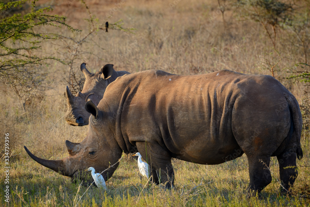 Obraz premium 904725