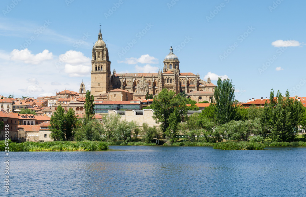 Espagne-Cathédrale de Salamanque