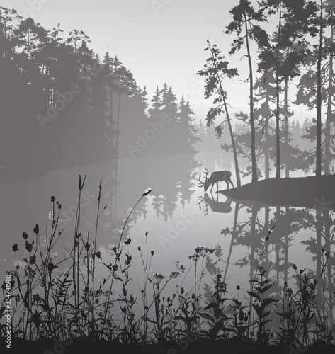 Vector illustration with beautiful landscape. Forest lake and deer. Good detail, large printable artwork
