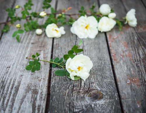 Flowers. White roses on an old shabby desk. Vintage floral background.