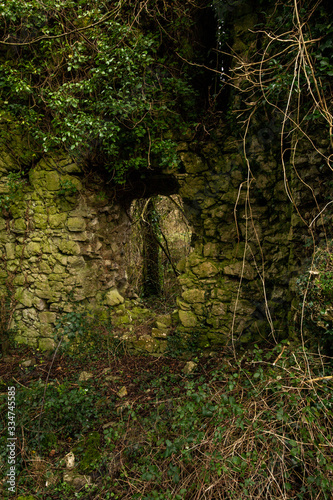 Unnamed Ruins, Co. Laois, Ireland © Charles