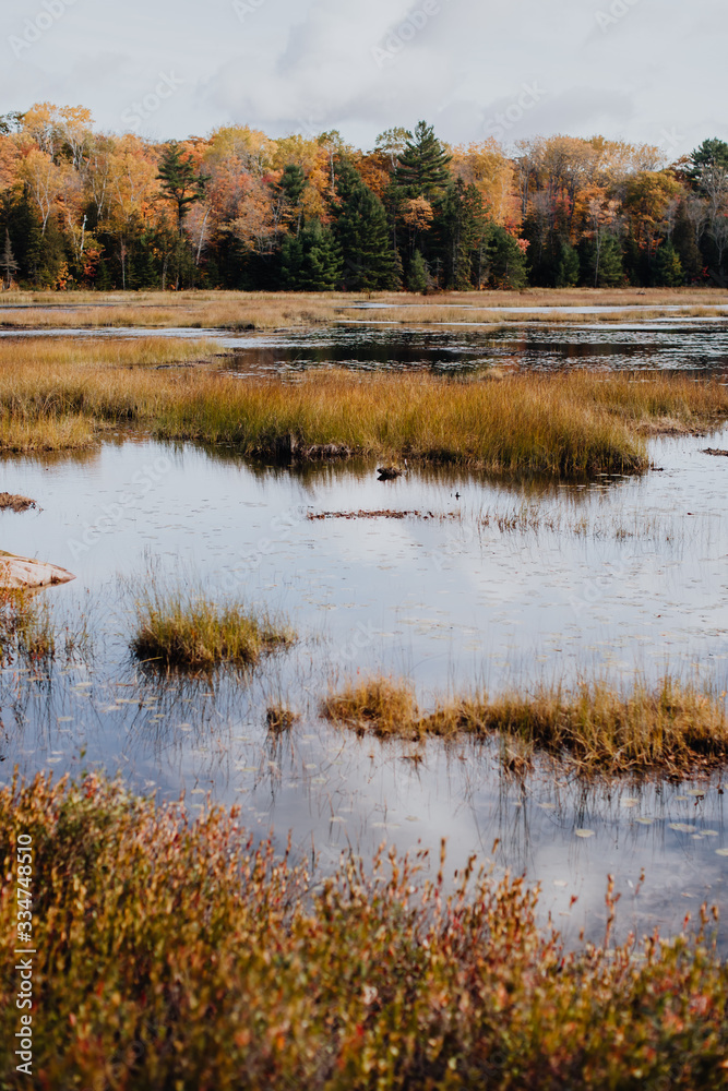 L'automne dans le parc national de Killarney en Ontario