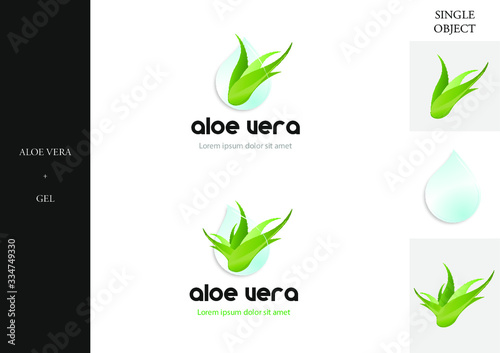 Logos aloe vera - illustration vectorielle éditable