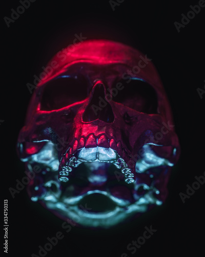 Neon Black Skull Isolated on Black Background