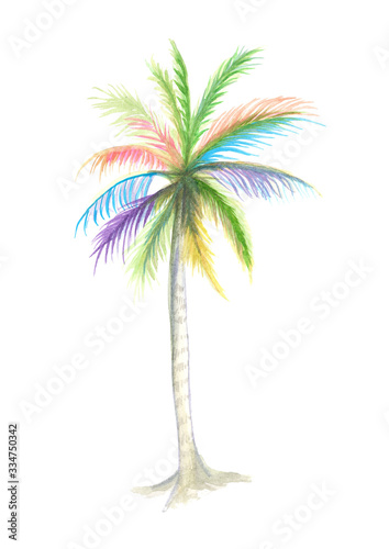 watercolor of rainbow coconut tree illustration  natural paint