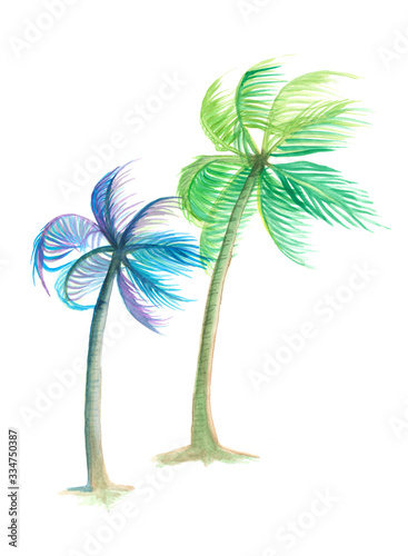 Fototapeta Naklejka Na Ścianę i Meble -  watercolor of blue and green coconut trees are blown by the wind illustration
