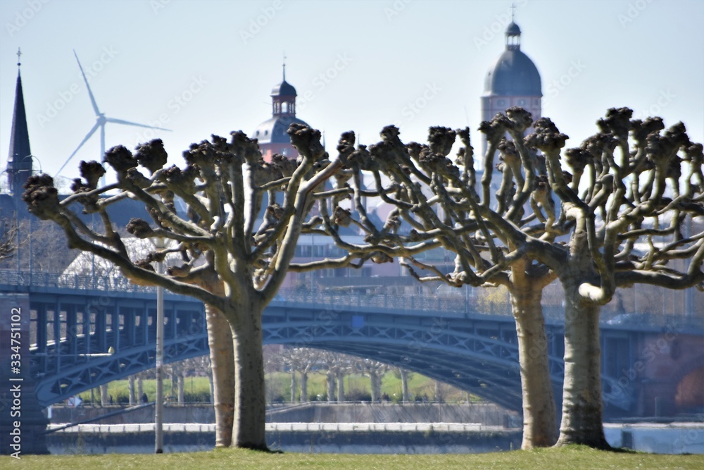 Fototapeta premium Mainz Germany