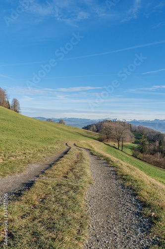 Wanderweg entlang eines Feldes im Winter