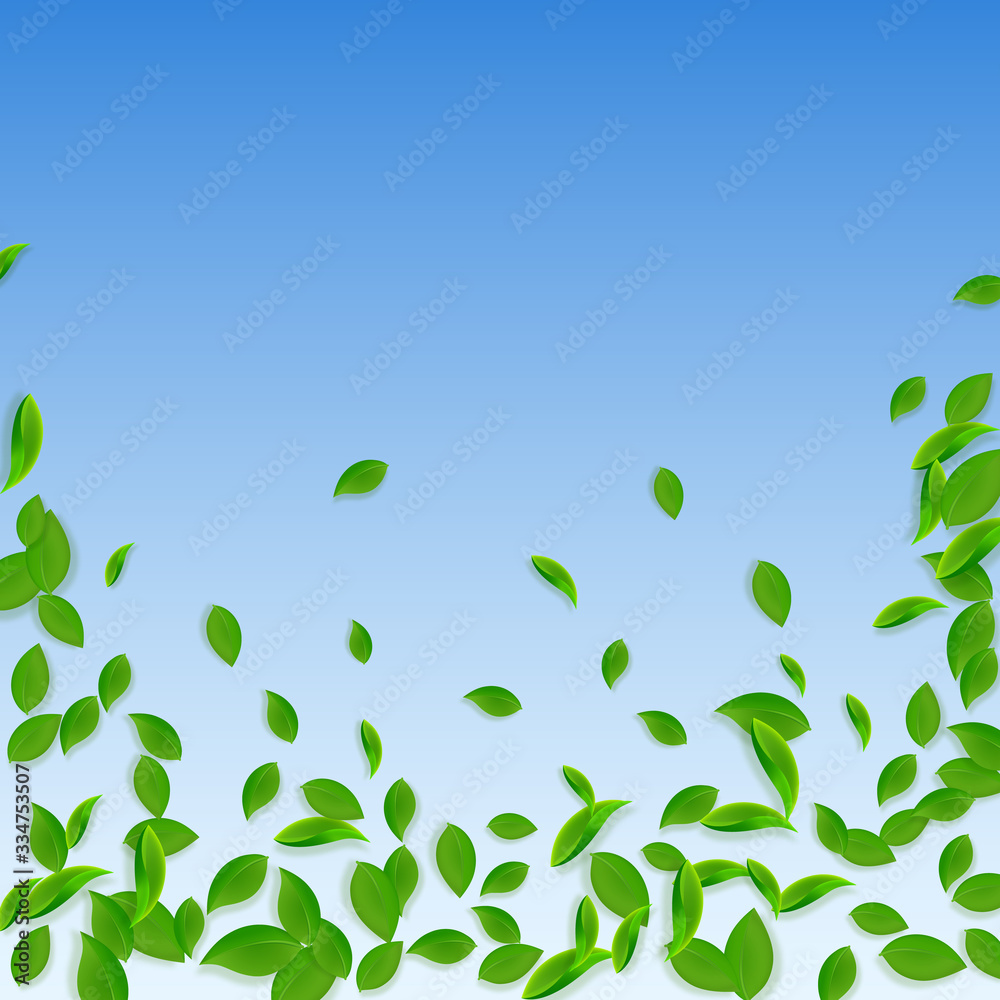 Falling green leaves. Fresh tea chaotic leaves fly Falling green leaves. Fresh tea chaotic leaves fly