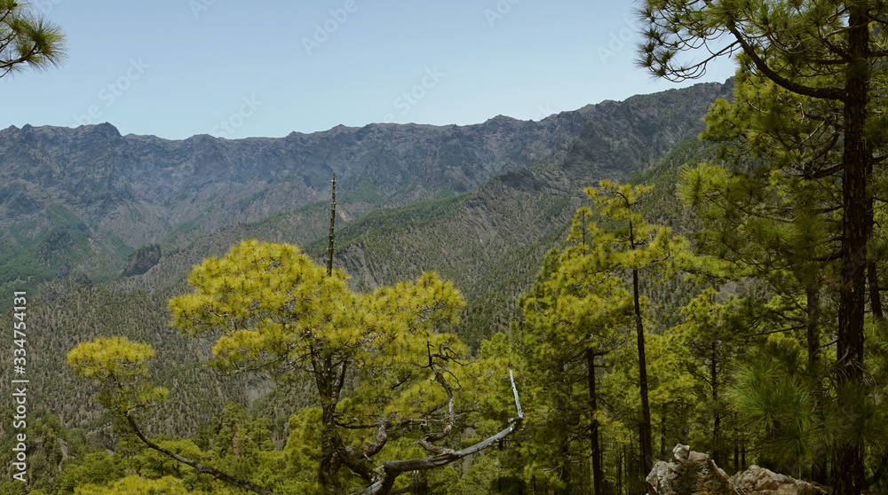 la Palma Mountains