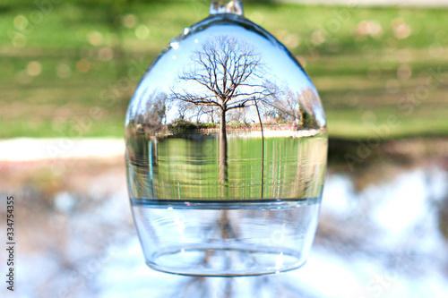 tree reflection