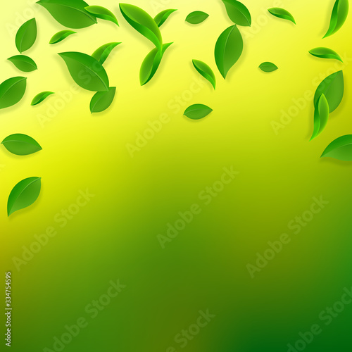 Wallpaper Mural Falling green leaves. Fresh tea chaotic leaves fly Torontodigital.ca