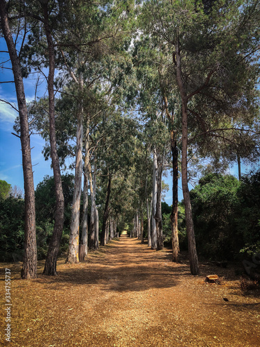 Sainte-Marguerite Island