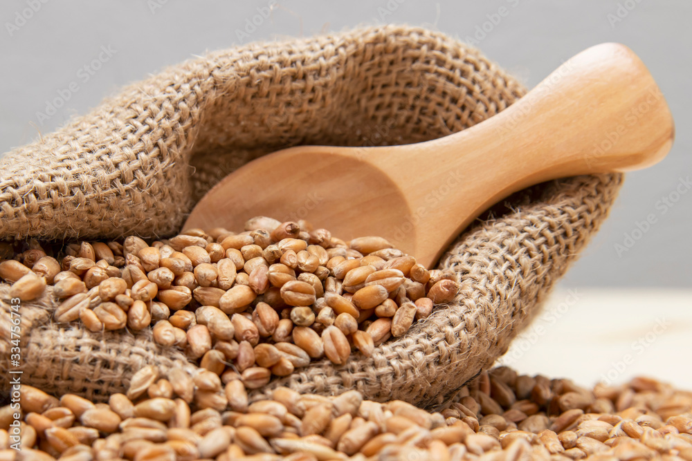 Naklejka premium Grains of wheat in a bag. A wooden spoon with wheat.