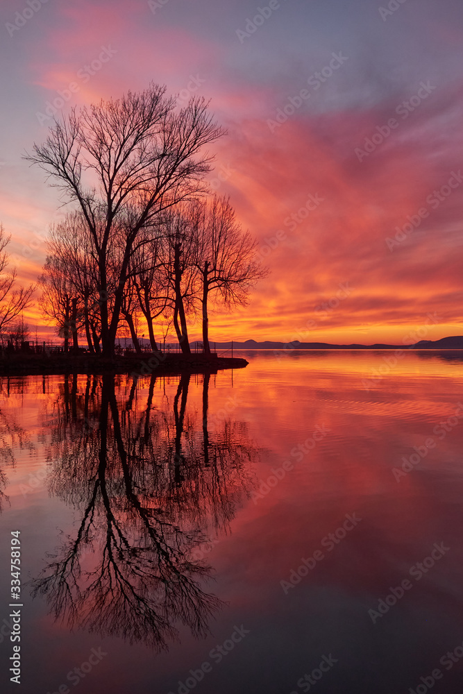 trees at the shore sunset mirroring water surface hills in background, vertical, Balaton, Hungary