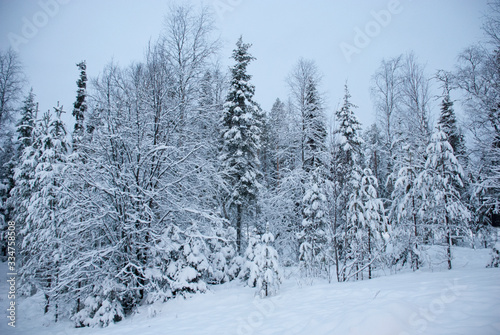 Paisajes nevados en Finlandia