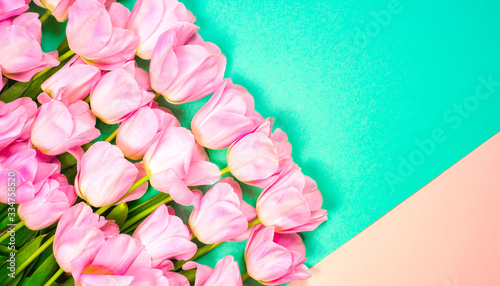 Fototapeta Naklejka Na Ścianę i Meble -  spring flowers banner - bunch of pink tulip flowersbright colorful background.