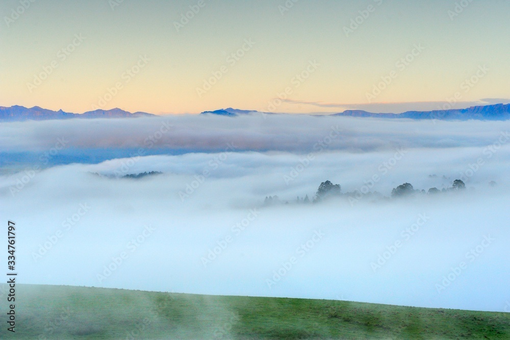 MISTY DAWN IN THE UMZIMKULU VALLEY, Underberg, South Africa 