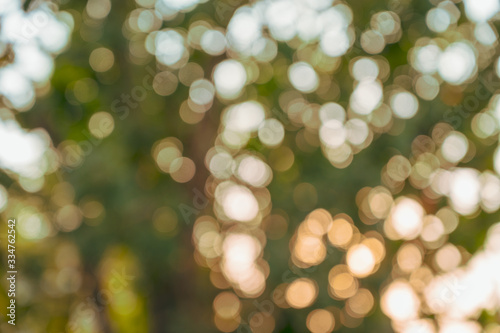 Abstract bokeh on blurred tree background, Vintage style