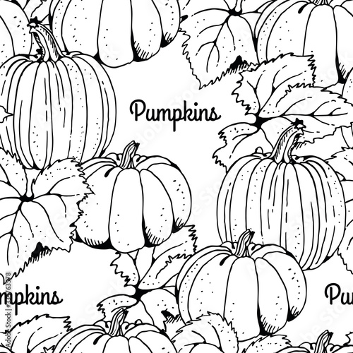 Pumpkin with leafs vector seamless pattern, hand drawn squash sketch isolated on white background