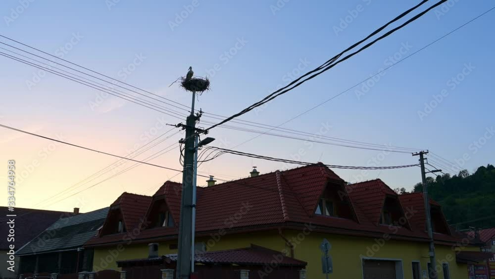 WIDE SHOT of a white stork in its nest at the top of a nesting pole with power cables running beneath it and houses at the bottom of the frame. Sunset colors visible in the sky behind