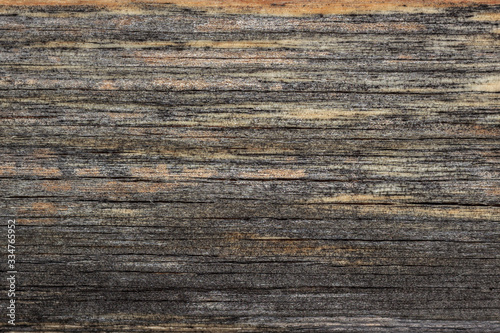 texture of old dry wood