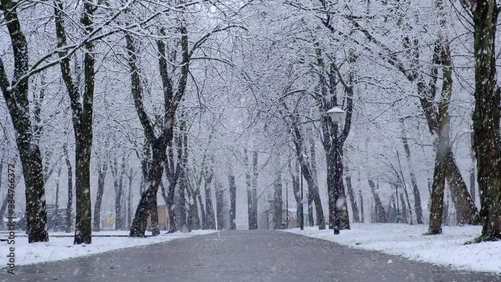 Snowy winter weather in city park at frosty day. Alley of trees under snow in slow motion Snowy winter weather in city park at frosty day. Alley of trees under snow in slow motion