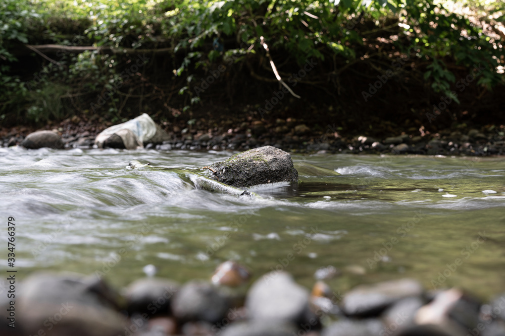 stream in the forest