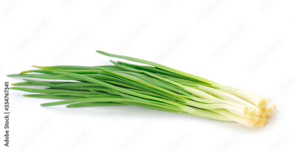 Green onion isolated. Green onion isolated.