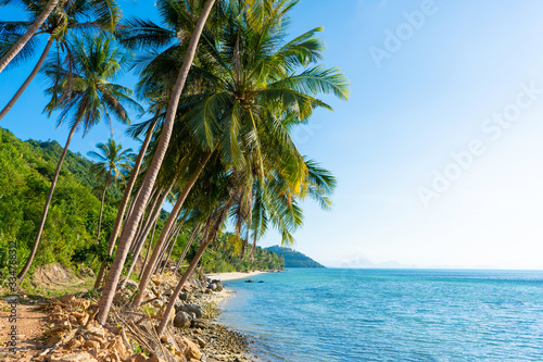 Fototapeta Naklejka Na Ścianę i Meble -  Sandy beach of a paradise deserted tropical island. Palm trees overhang on the beach. White sand. Blue water of the ocean. Rest away from people