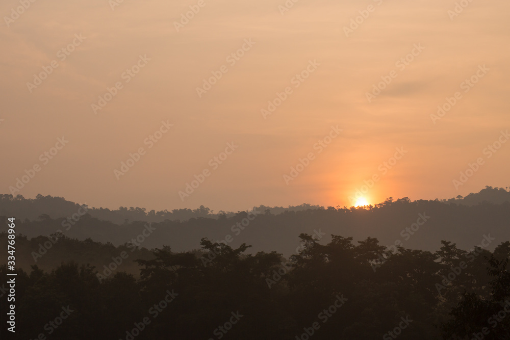 Fototapeta premium sunrise among trees with a dense fog at Jedkod-Pongkonsao Natural Study in Saraburi Thailand