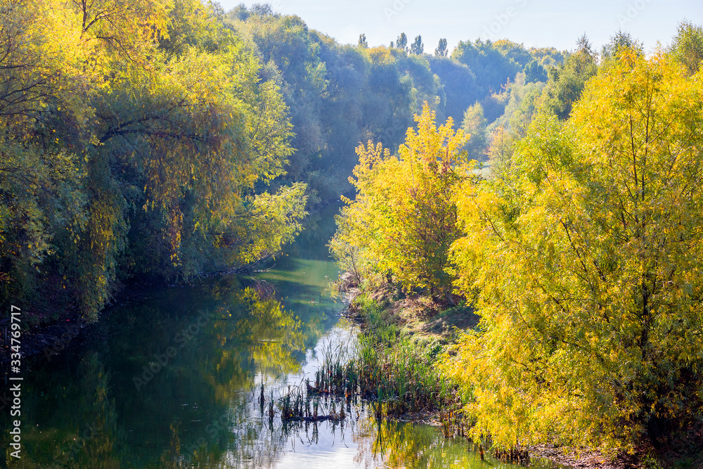 Yellow autumn trees near river, autumn landscape