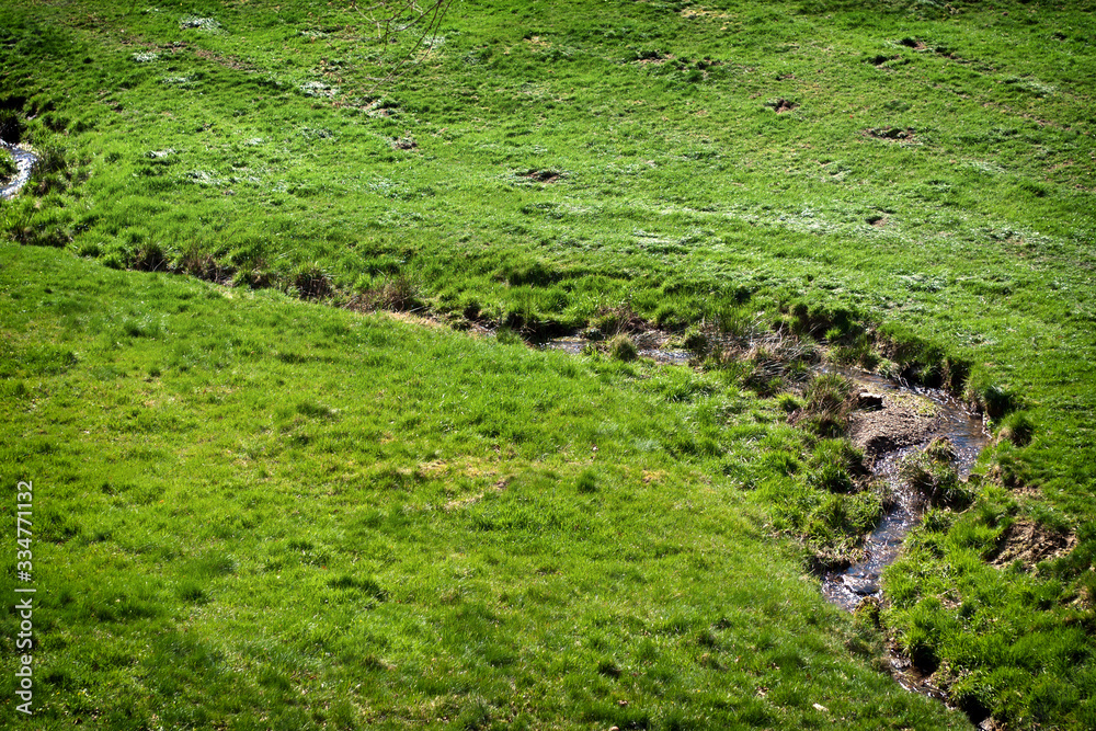 Ein Bach der sich durch die Wiese schlängelt Ein Bach der sich durch die Wiese schlängelt