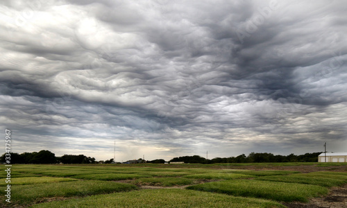 dark wavy clouds over field