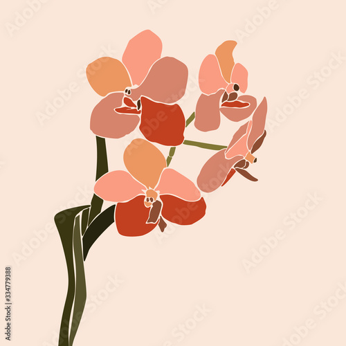 Art collage orchid flower in a minimal trendy style. Silhouette of orchid plants in a contemporary simple abstract style