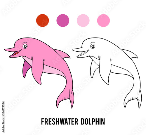 Coloring book, Freshwater Amazon dolphin